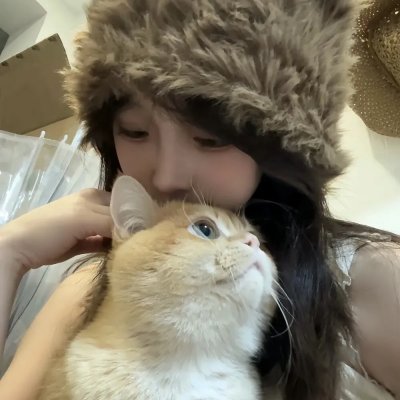 再见了，可鲁