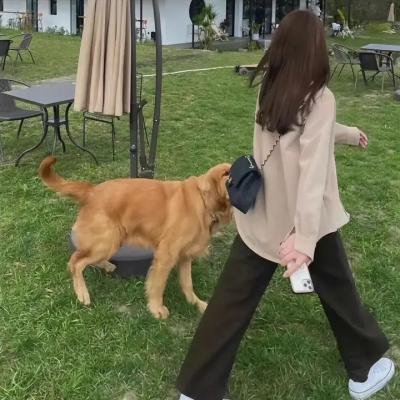 我们的歌第二季